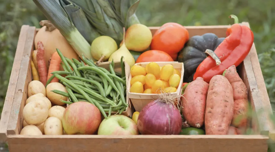 gruener lebensstil, saisonale lebensmittel